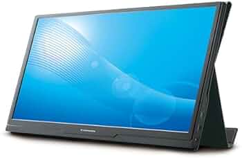 Amazon.co.jp: 多摩電子工業 15.6型モバイルディスプレイ のぞき見防止