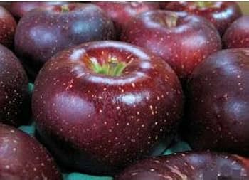 Amazon.co.jp: 長野産 村松果樹園の特別栽培 りんご 秋映(あきばえ