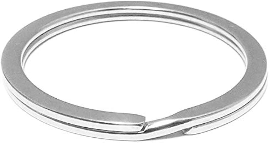 Amazon | 【1個】ステンレス ダブルリング 二重リング 二重カン