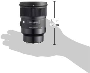 Amazon.com : Sigma 24mm F/1.4 DG HSM Art Lens for Sony E (401965