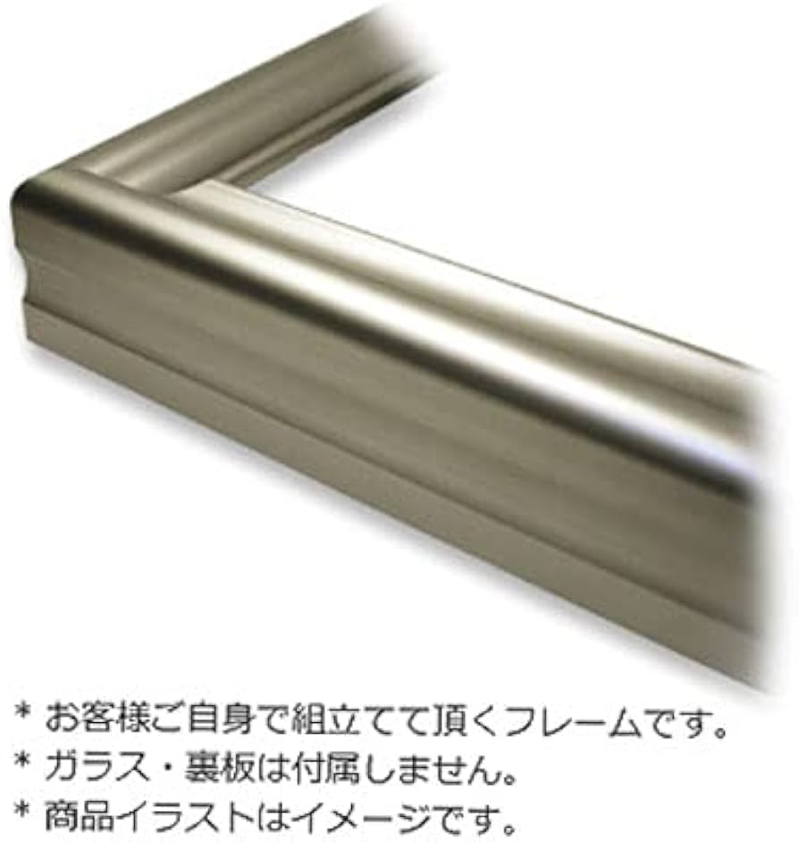 Amazon.co.jp: 額縁 仮縁 オール50 チタン F50キャンバス用 (1167