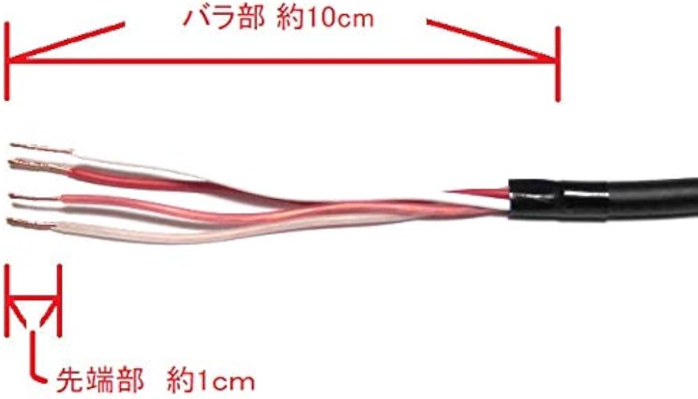 Amazon.co.jp: CANARE/カナレ スピーカーケーブル スピコン-先バラ (2