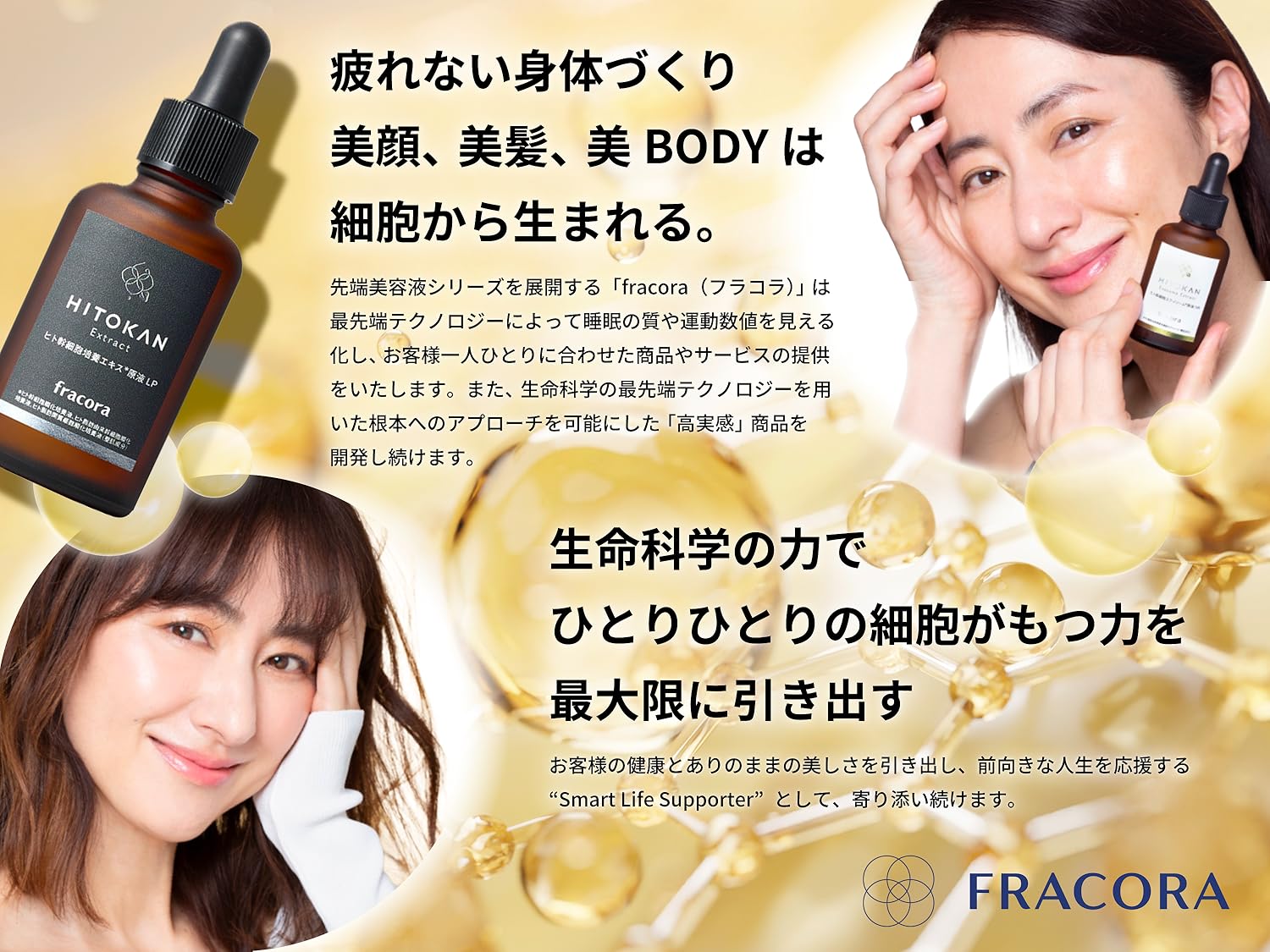 Amazon.co.jp: fracora