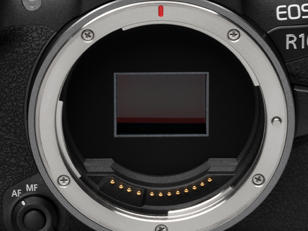 Amazon.com : Canon EOS R10 (Body Only), Mirrorless Vlogging Camera