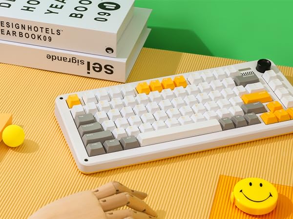 Amazon.com: IQUNIX ZX75 Gravity Wave Gaming Keyboard 75% RGB