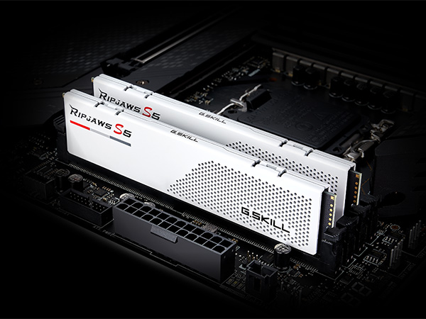 G.SKILL Ripjaws S5 Series DDR5 RAM (Intel XMP 3.0) 32GB (2x16GB