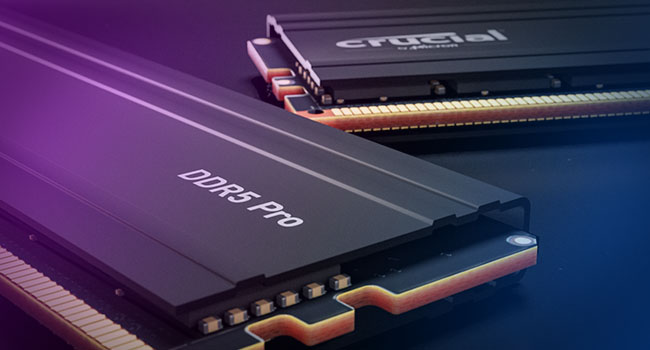 Crucial Pro 32GB DDR5 RAM Kit (2x16GB), 6000MHz (or 5600MHz or