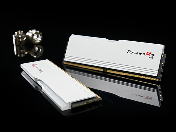 G.SKILL Ripjaws M5 RGB Series DDR5 RAM (Intel XMP 3.0) 32GB