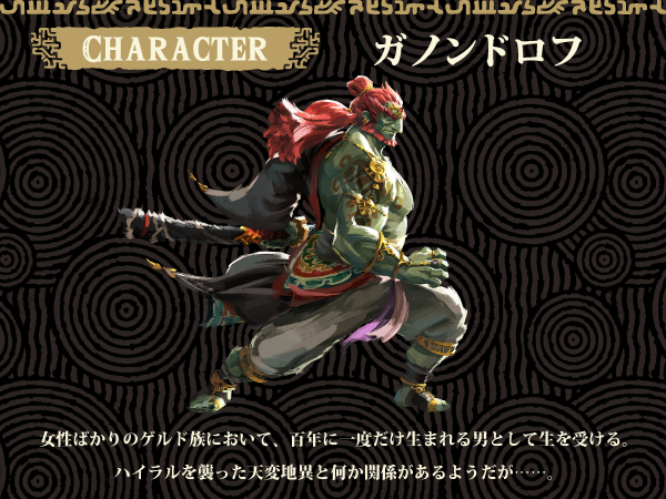 Amazon.co.jp: ゼルダの伝説 ティアーズ オブ ザ キングダム