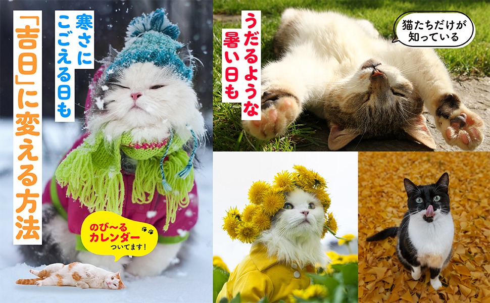 Amazon.co.jp: にゃにゃ十二候 猫とめぐる日本の古暦・七十二候 : 藤本