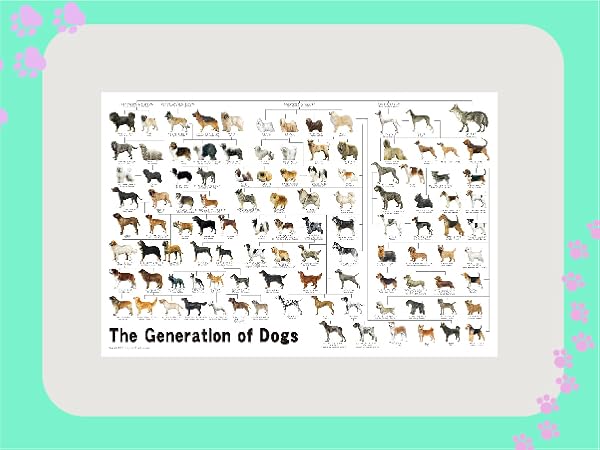 Amazon | 1000ピース ジグソーパズル めざせ!パズルの達人 犬の系統図