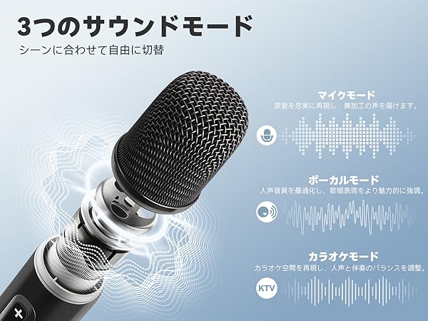 Amazon.co.jp: カラオケスピーカー Hoshikou Denpa 80W大出力