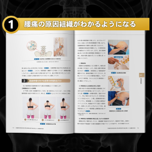 成田崇矢の臨床『腰痛』 (