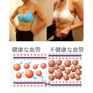 Amazon.co.jp: YBIの魔法のネックレス パワーネック／スーパー