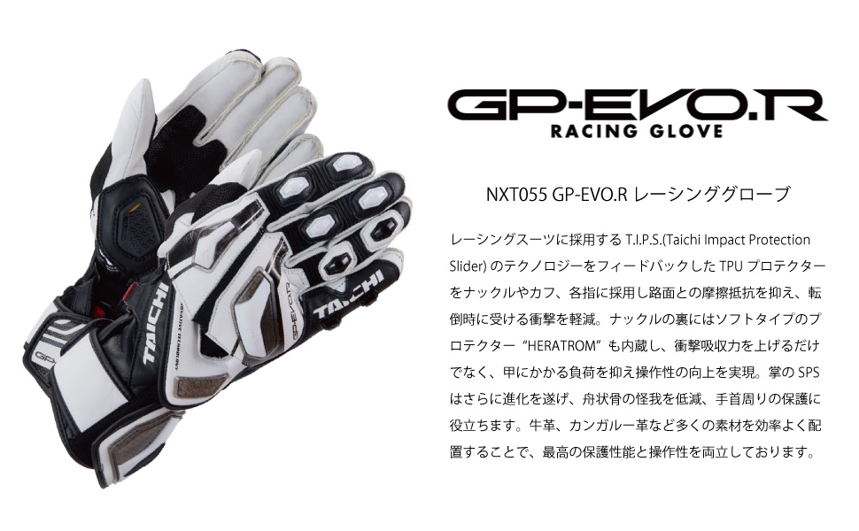 Amazon.co.jp: RSタイチ(RS TAICHI) GP-EVO.R レーシング グローブ