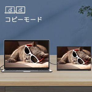 Amazon.co.jp: Scnsuptpモバイルモニター、13.9