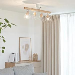 Amazon.co.jp : LOWYA ロウヤ 照明 スポットライト ガラスシェード