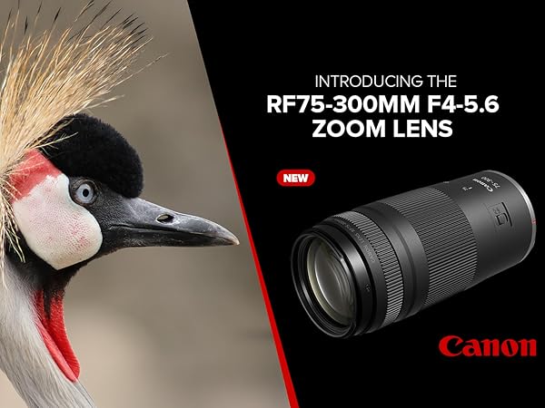 Amazon.com : Canon RF75-300mm F4-5.6 Zoom Lens with UV Filter +