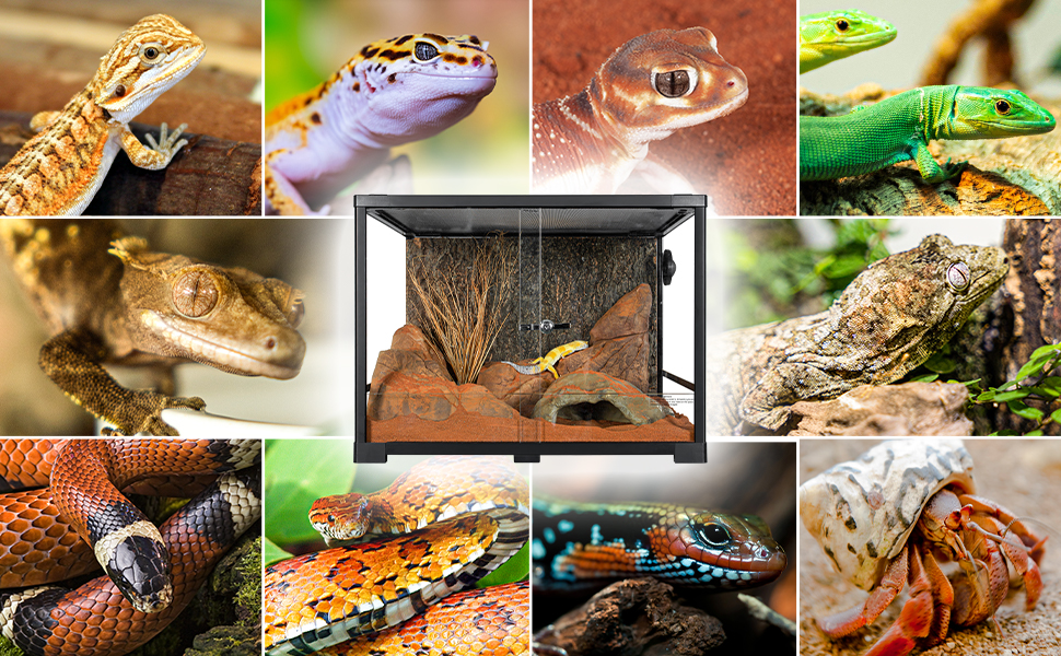 Amazon | 120L 爬虫類ケージ グラステラリウム 透明 W60×D45×H45CM