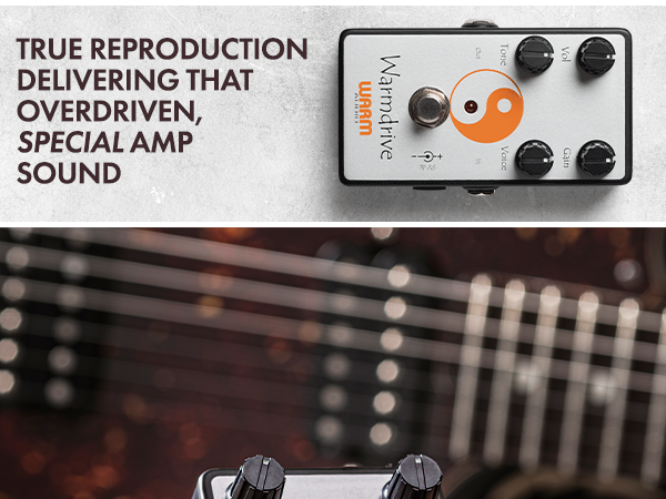Amazon.com: Warm Audio Warmdrive - Amp-In-a-Box Overdrive Pedal
