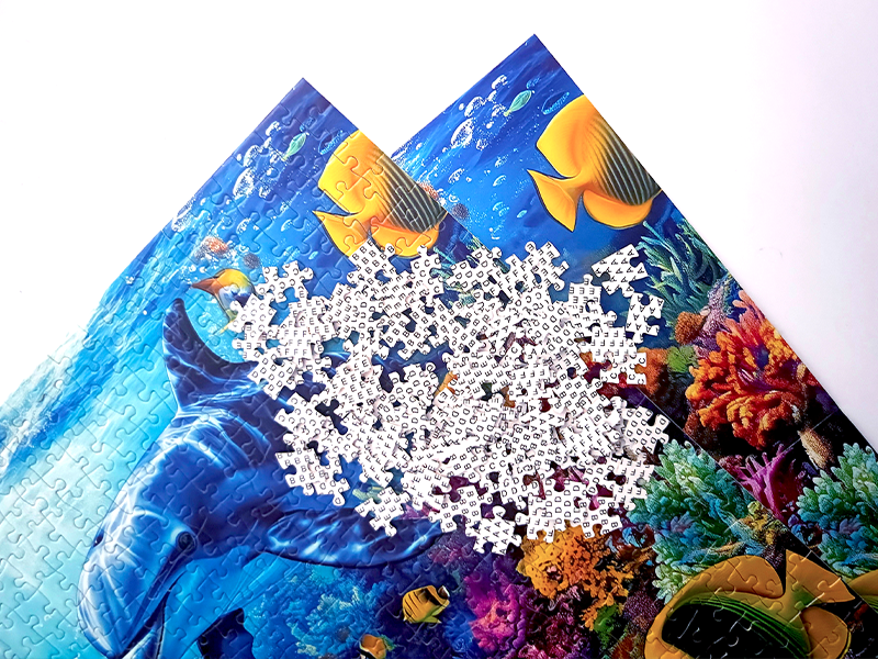 Amazon | MISITU ジグソーパズル 1000ピース パズル 風景 絵画 海 海洋