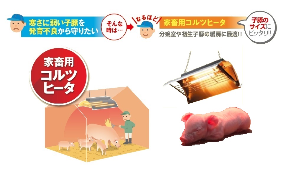 Amazon.co.jp: パナソニック 家畜用ヒーター ランプ1灯【NK-RH12F】 子