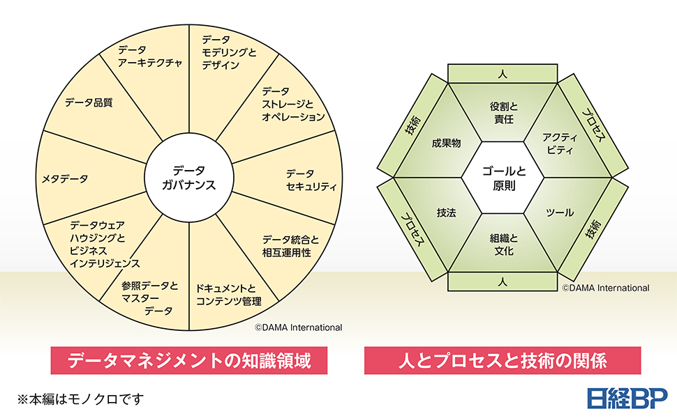 データマネジメント知識体系ガイド 第二版 改定新版 | DAMA