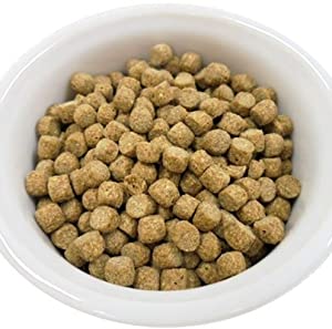 Amazon | Fay Hedgehog Food (フェイ ハリネズミフード) 500g | TAINY