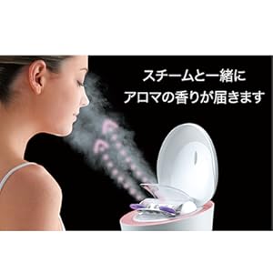 Amazon.co.jp: パナソニック スチーマー ナノケア W温冷エステタイプ