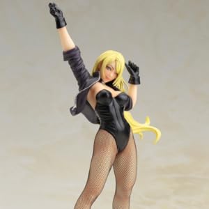 Amazon | DC COMICS美少女 DC UNIVERSE ブラックキャナリー 2nd