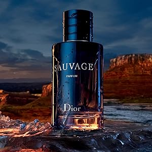 Amazon.com : Dior Sauvage Eau de Toilette Spray for Men, 3.4 Ounce