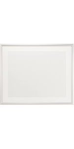 Amazon | FUJICOLOR 額縁 A13 [ 無反射ガラス ] 全紙 アルミ シルバー