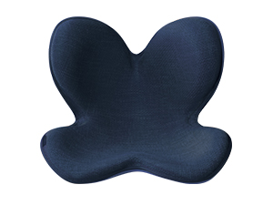 Amazon | MTG 骨盤サポートチェア Body Make Seat Style(ボディメイク