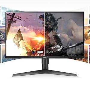 Amazon.com: LG 27GL650F-B 27