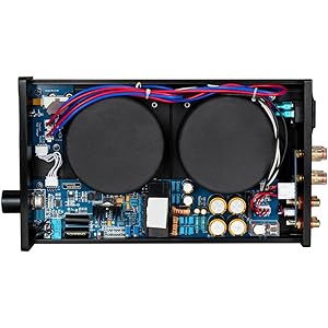 Amazon | Topping デジタルアンプ 【TP60】 DAC、Tripath TA2022を採用