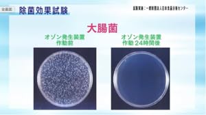 Amazon | Airness (エアネス) 低濃度オゾン発生装置 ANS-1601 | Maxell