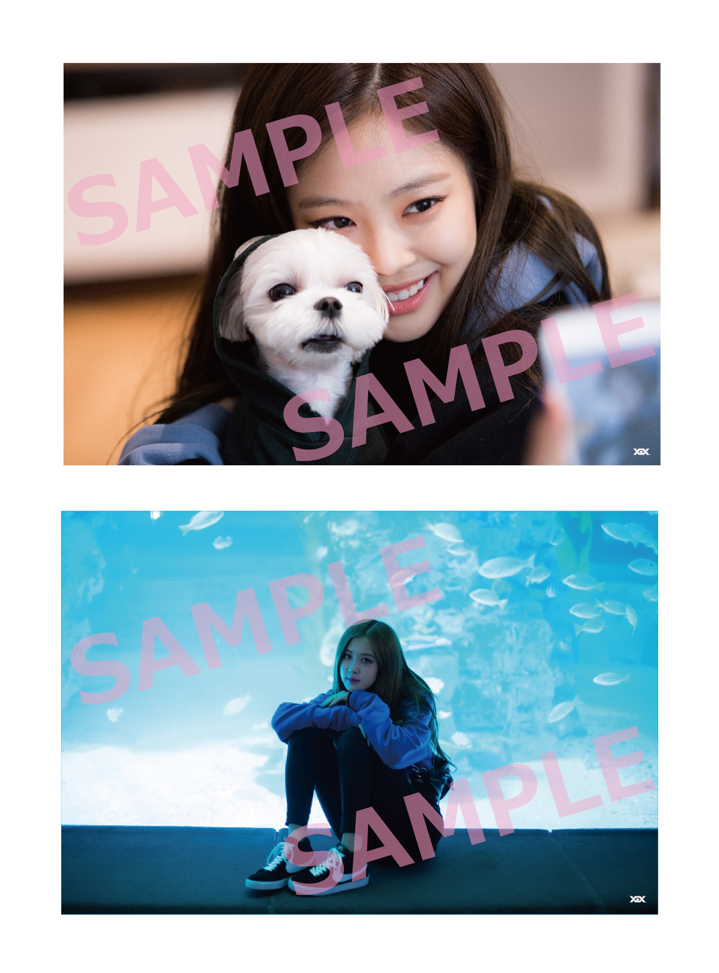 DVD&Blu-ray『BLACKPINK HOUSE [EPISODE1-6]』