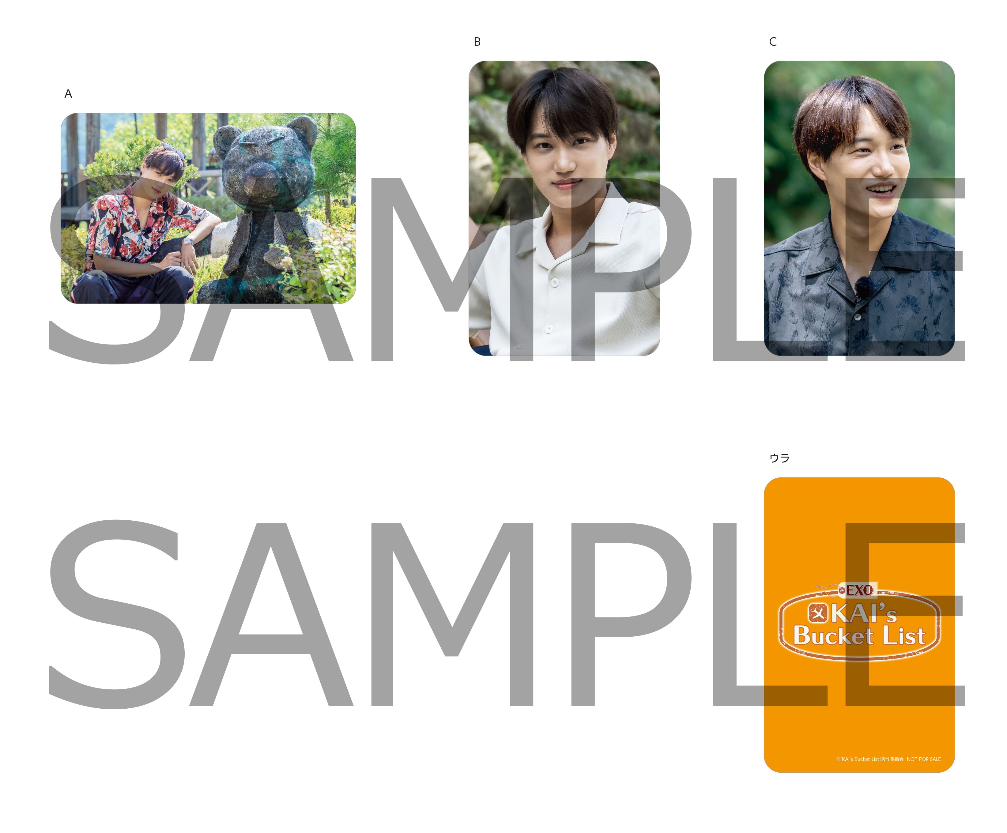 KAI's Bucket List』DVD-BOX法人オリジナル特典デザイン&メーカー特典