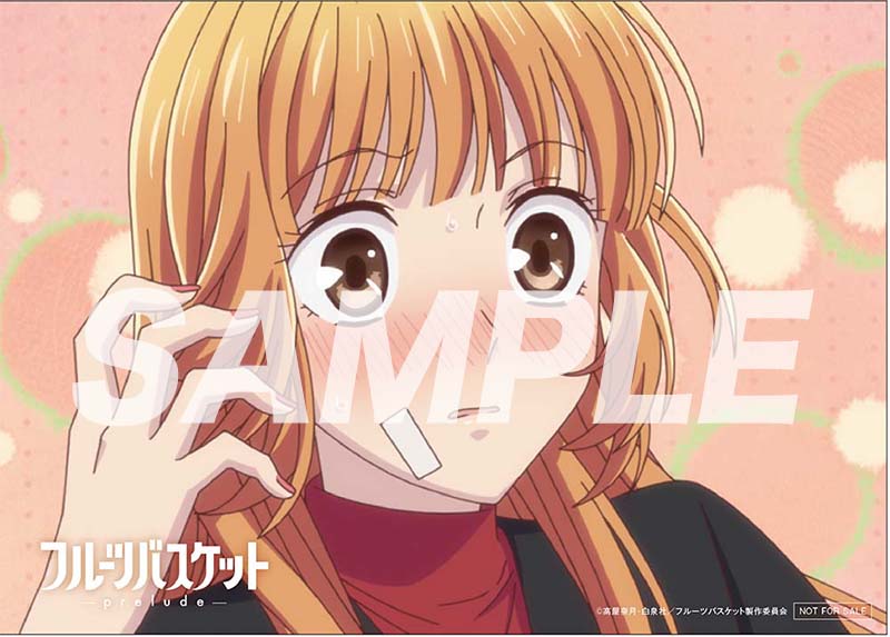 BD&DVD&CD｜「フルーツバスケット－prelude－」2022年2月18日（金）公開