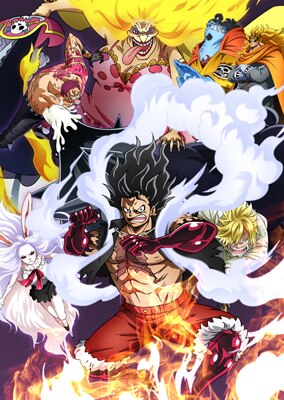 大人気DVDシリーズONE PIECE Log Collectionより、『ホールケーキ