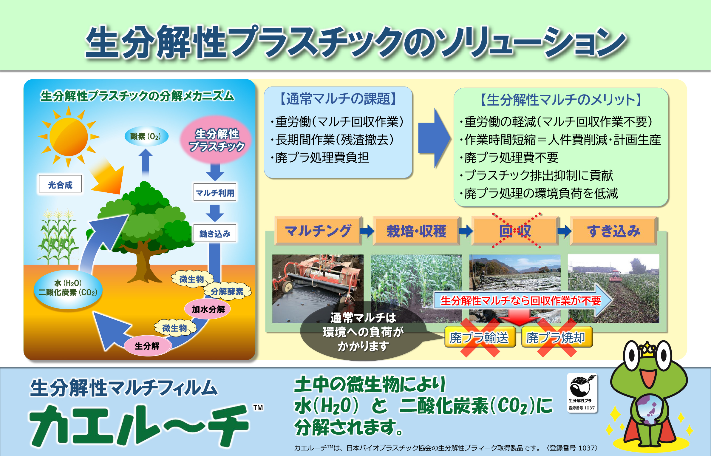 生分解性マルチフィルム | 農業用資材 | MKVアドバンス(株)