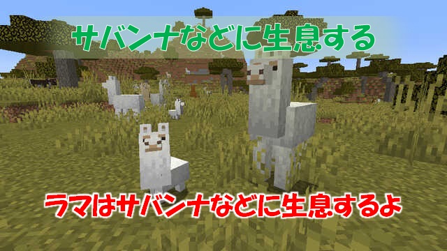 マイクラ】ラマの生息場所と繁殖、乗り方、装備について解説