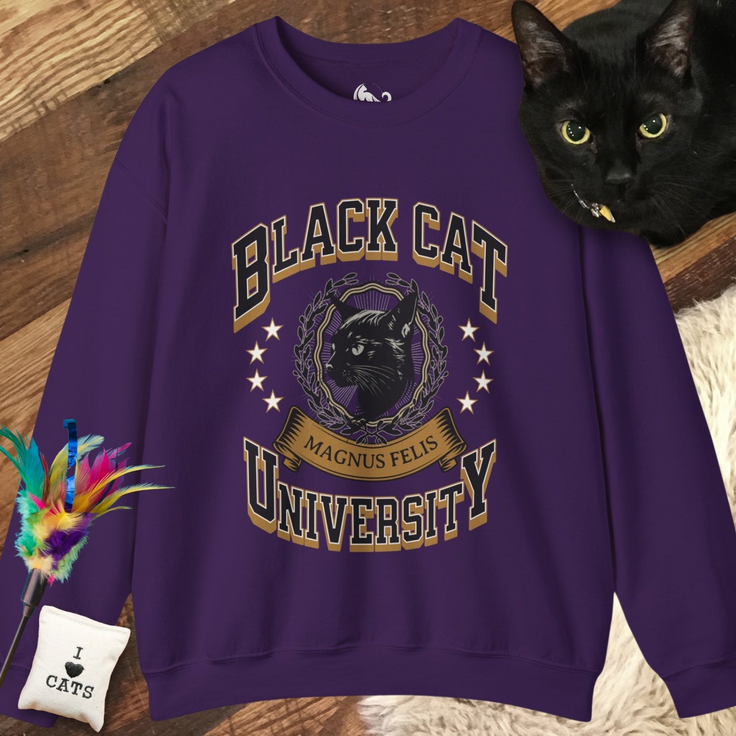 Midnight Mouser - Black Cat University Sweatshirt
