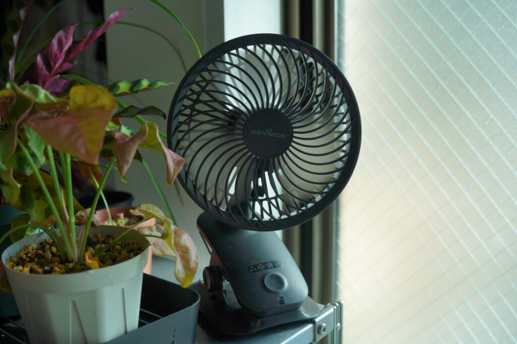 レビュー】keynice USB扇風機（KN-618）｜塊根植物やアガベ、小型観葉