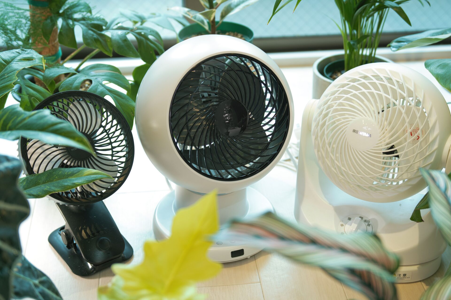 愛用中】観葉植物向けおすすめサーキュレーター3選｜100鉢以上をこれで