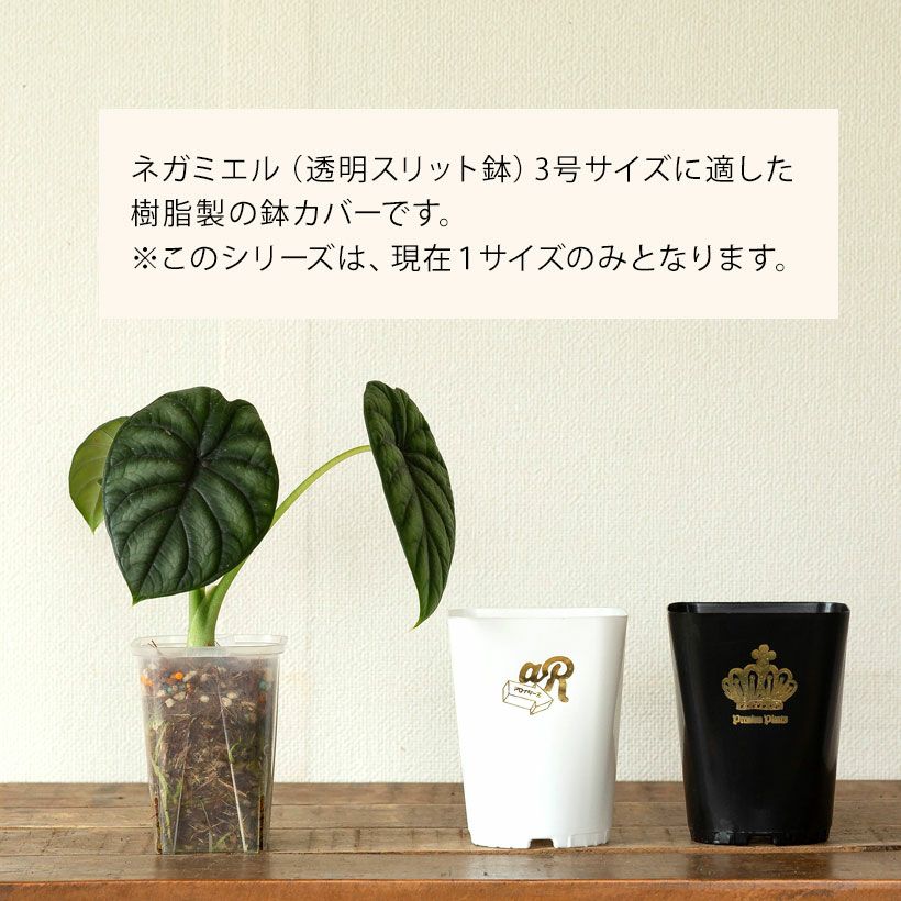 ネオプット（ネガミエルスリット鉢カバー）浅岡園芸・花森家開発