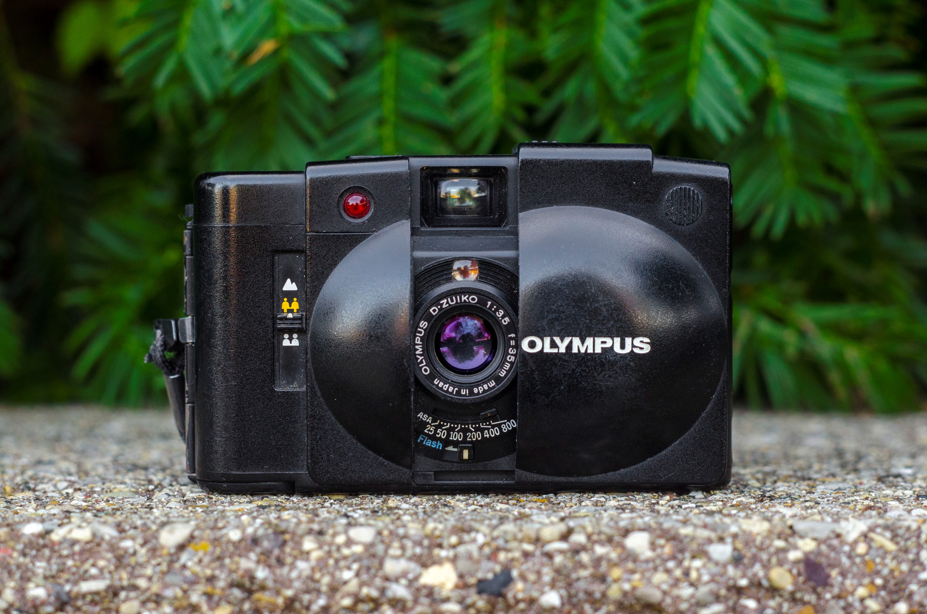 Olympus XA2 (1980) – mike eckman dot com