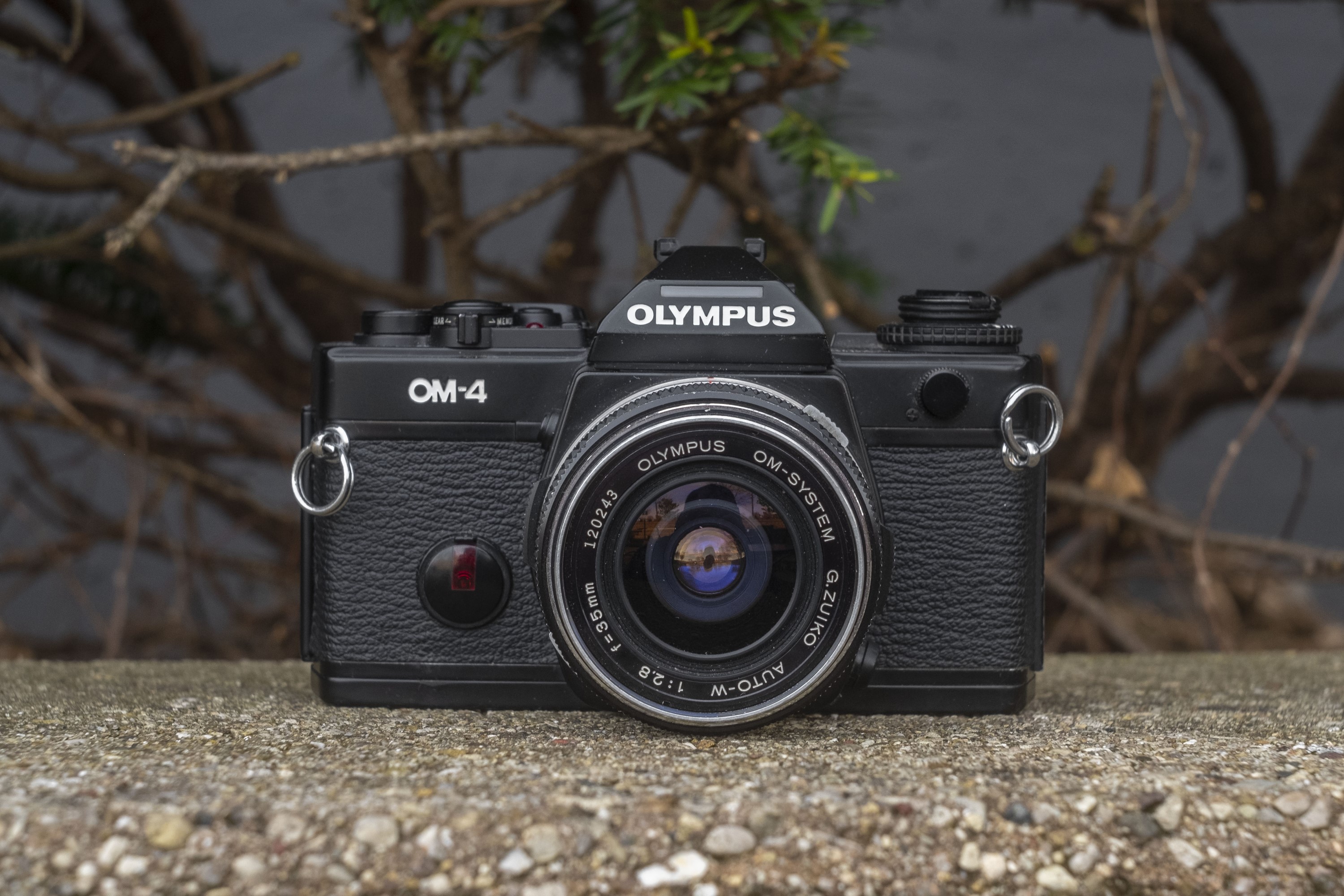 Olympus OM-4 (1983) – mike eckman dot com