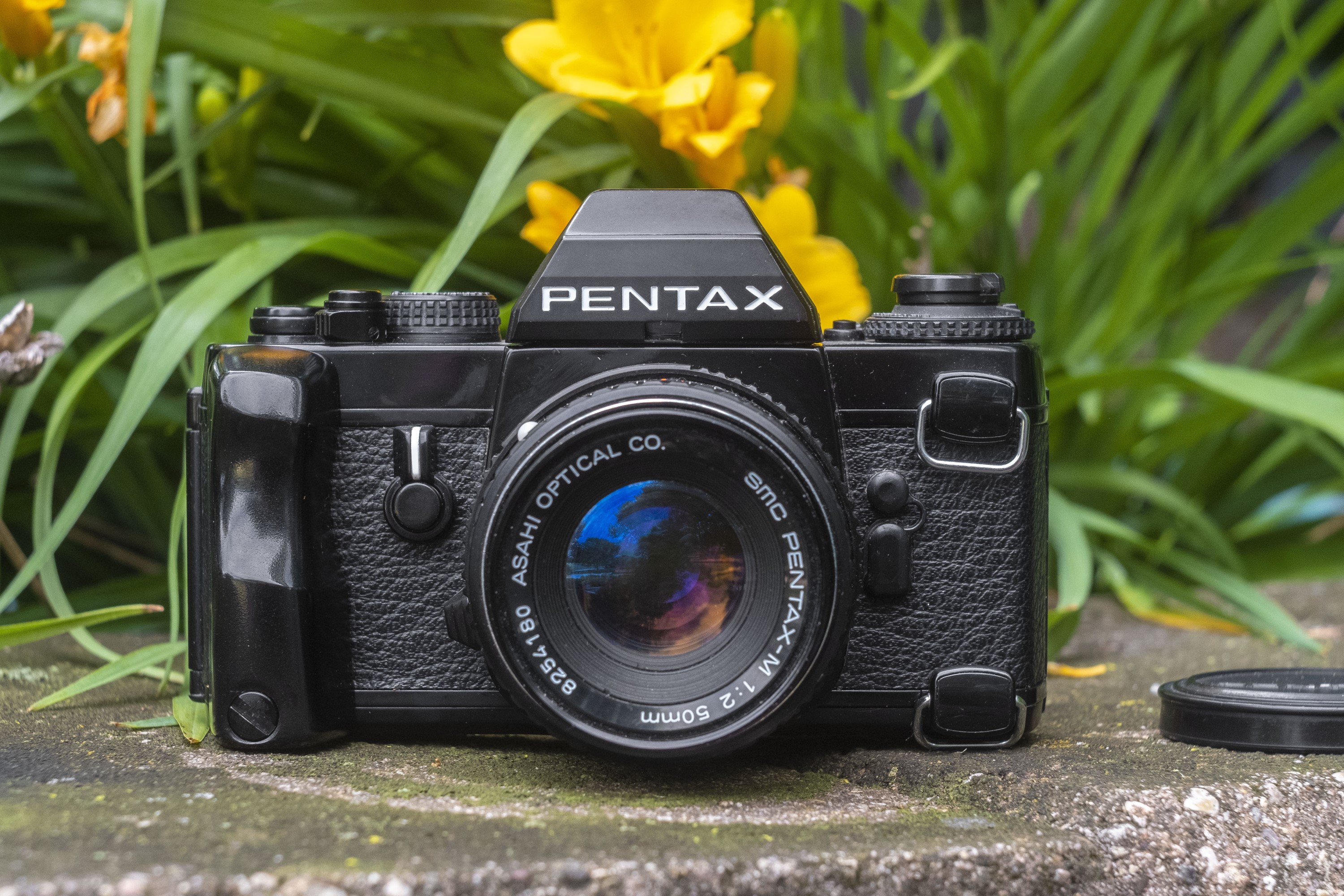 Pentax LX (1980) – mike eckman dot com