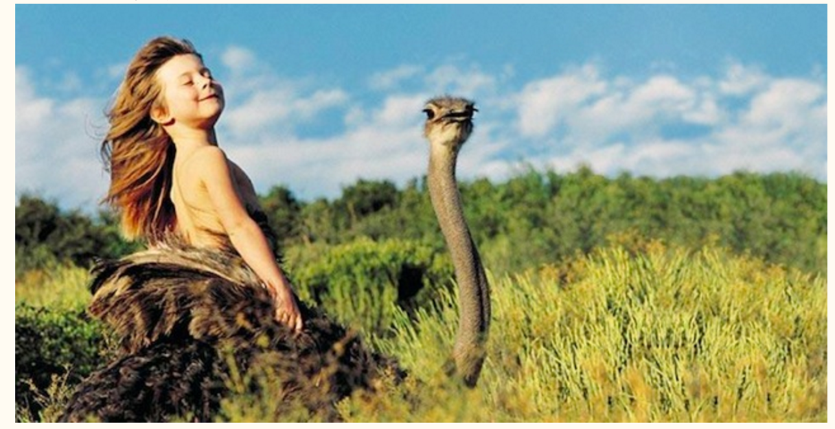 動物と育った子ども 発育環境とは 〜ナミビア・フランス〜 | 古庄美樹